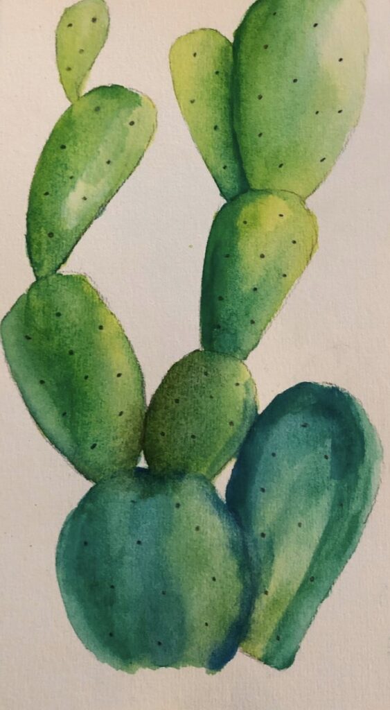cactus à l'aquarelle